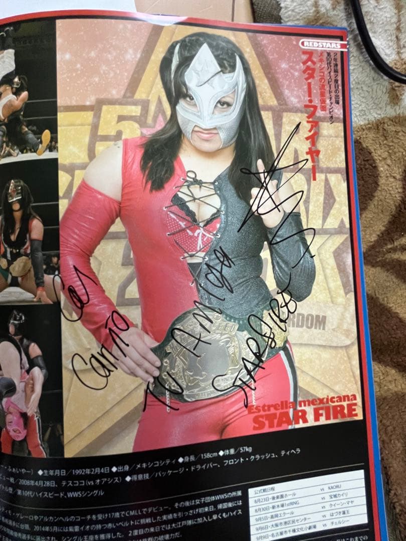 スターダム観戦ガイドブック 紫雷イオ、岩谷麻優、サンダーロック