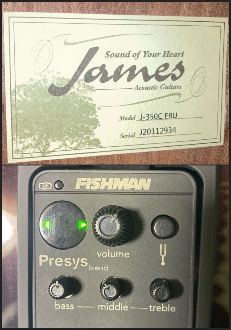 James J-350C/EBU ジェームスエレアコギター - メルカリ