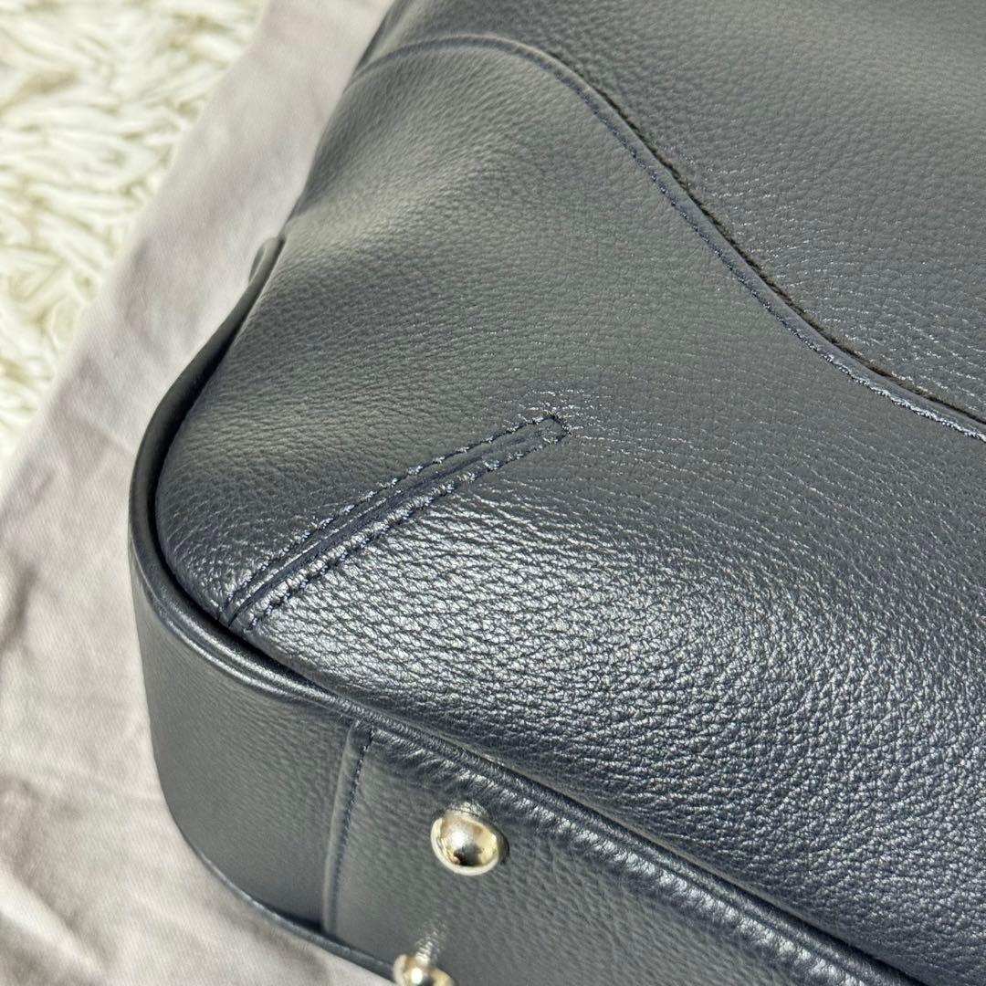 未使用✨ペッレモルビダ メイデンヴォヤージュ MB078 エディターズ