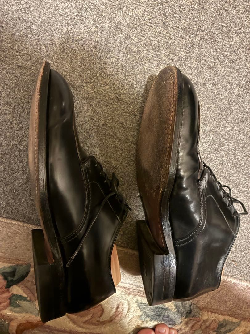 m*b様 【純正ツリー付き】Alden コードバン ブラック Vチップ6.5