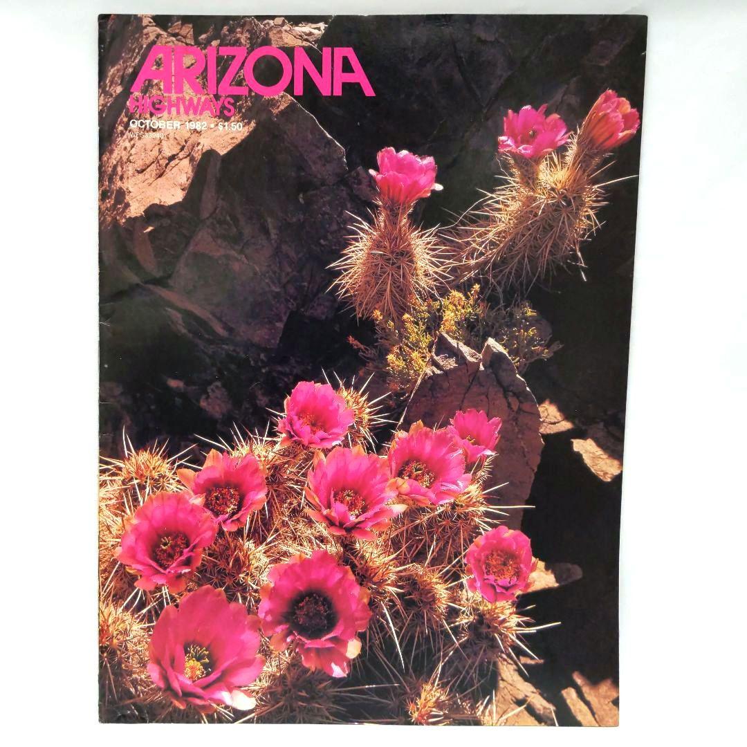 ARIZONA HIGHWAYS 1982年 1年分 アリゾナハイウェイ 洋書 - メルカリ