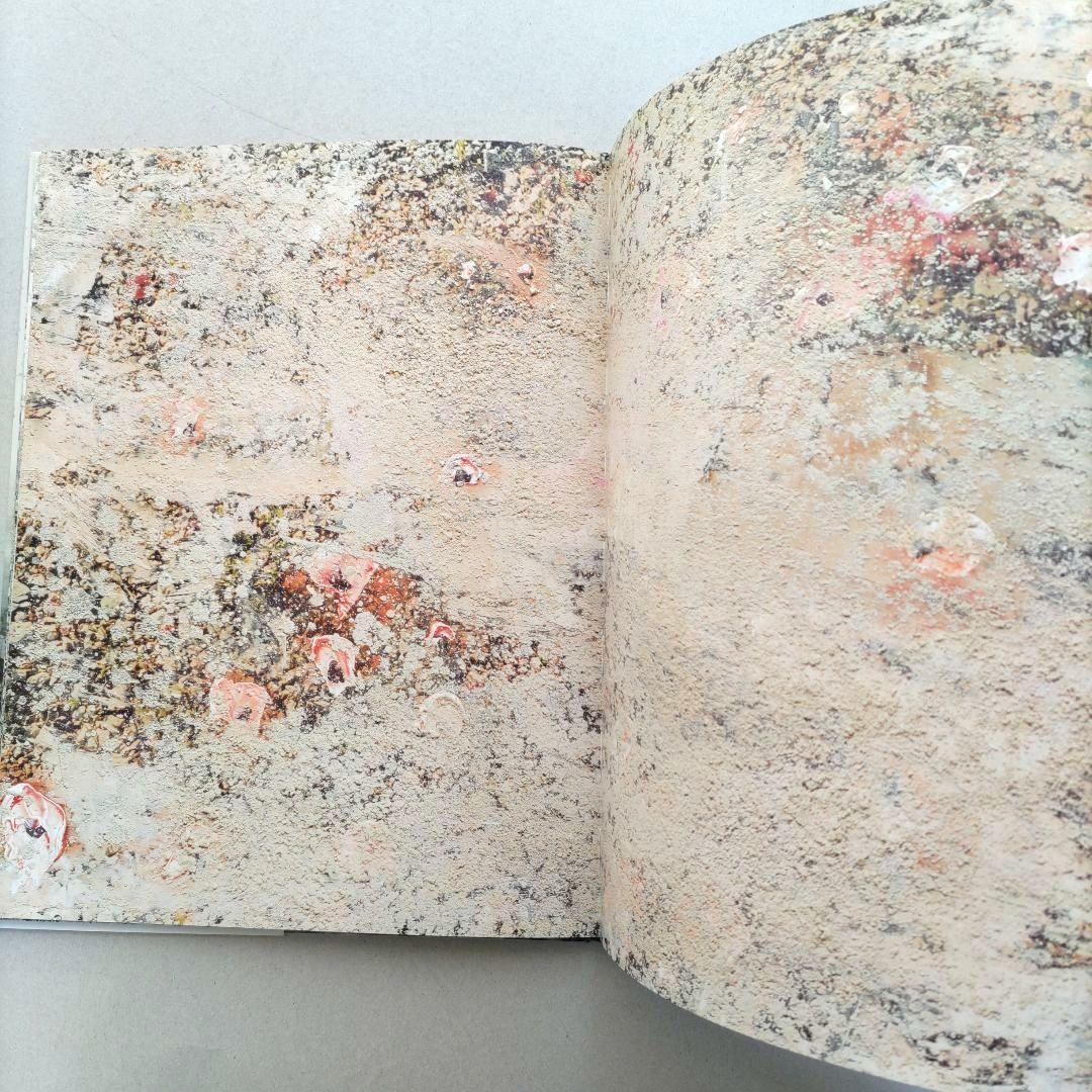 über euren Städten wird Gras wachsen/写真集