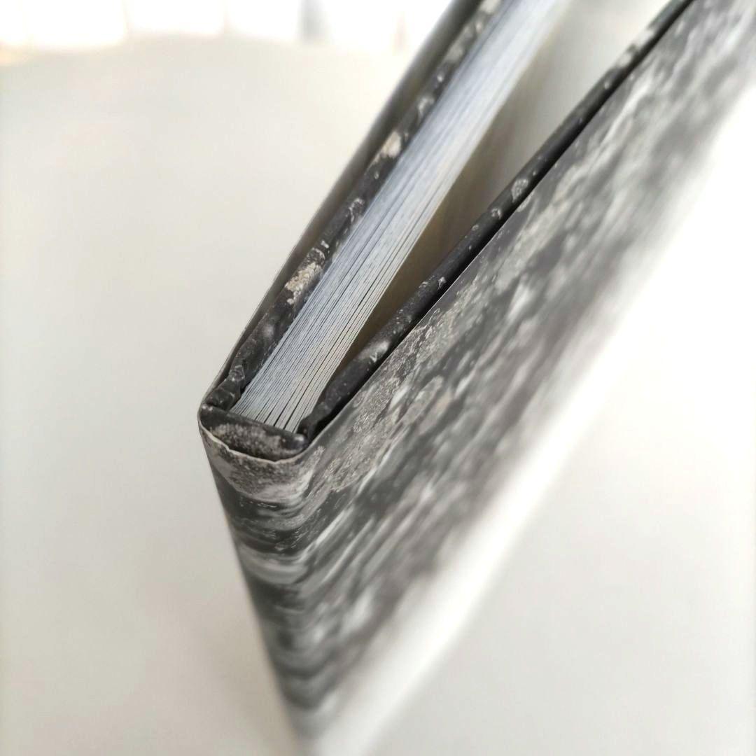 über euren Städten wird Gras wachsen/写真集