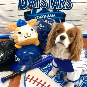 キャバリア チワワ 愛犬 ankoわんこシリーズ キーホルダー - メルカリ