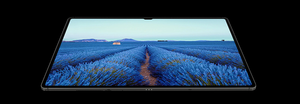 Samsung Tablet Galaxy Tab S9 Ultra 14,6