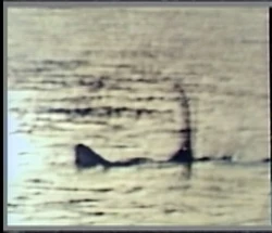 Ogopogo | Unsolved Mysteries Wiki | Fandom