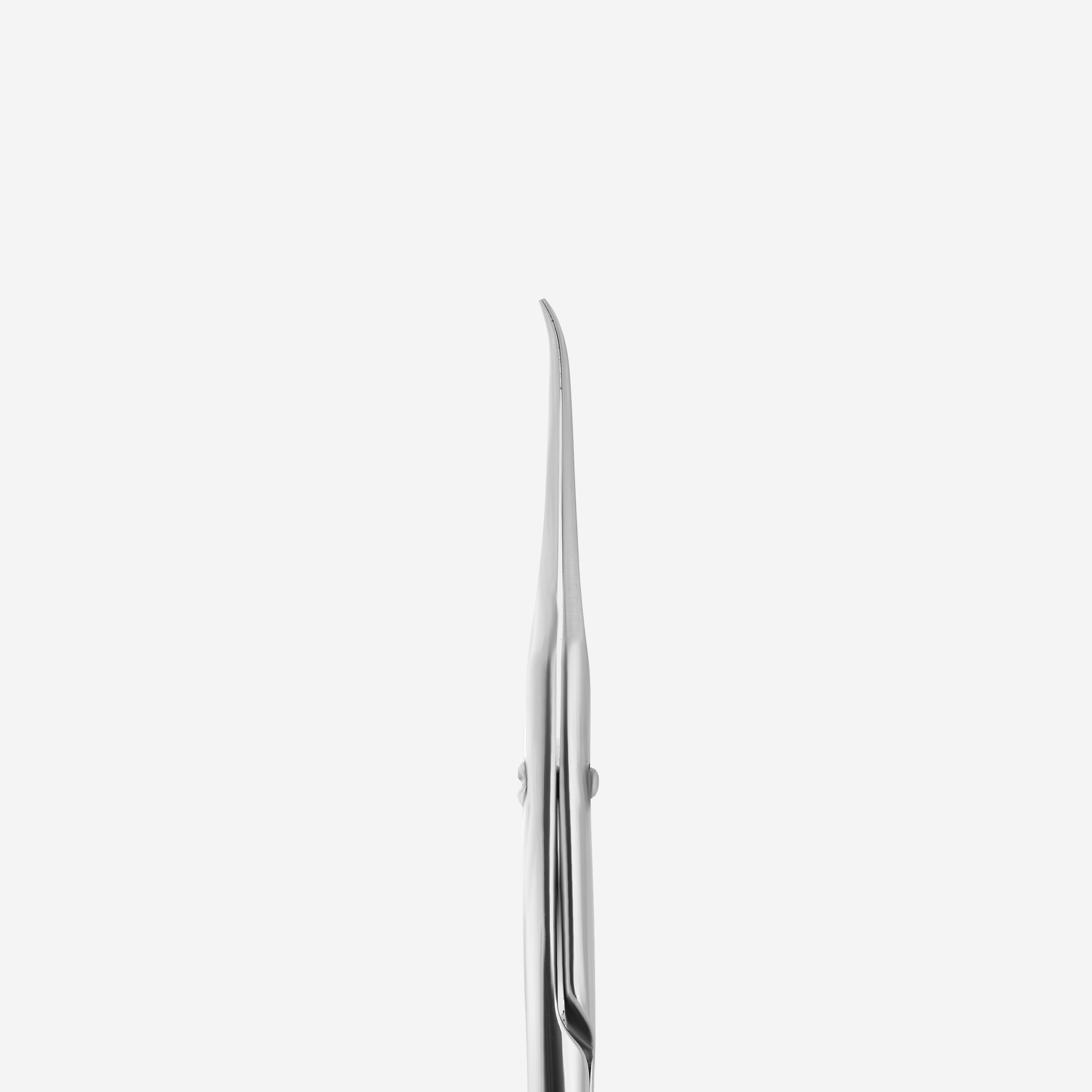 Professional cuticle scissors Staleks Pro Exclusive 21 Type 1
