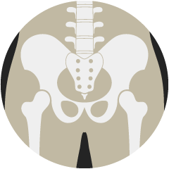 BONE Active®（ボーンアクティヴ）｜美容製品｜株式会社Star'Q