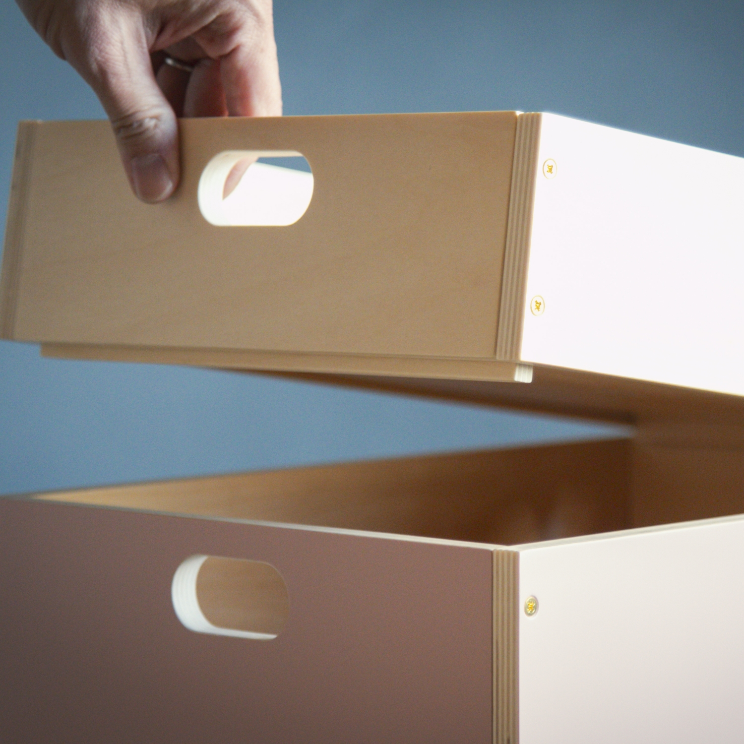 MOHEIM/LINDEN BOX L（renewal） -ありそうでない絶妙な色合い！重ね