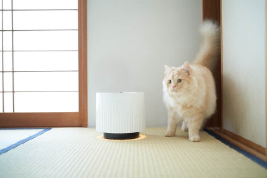 オゾン発生器・脱臭機「澄風(すみかぜ)」