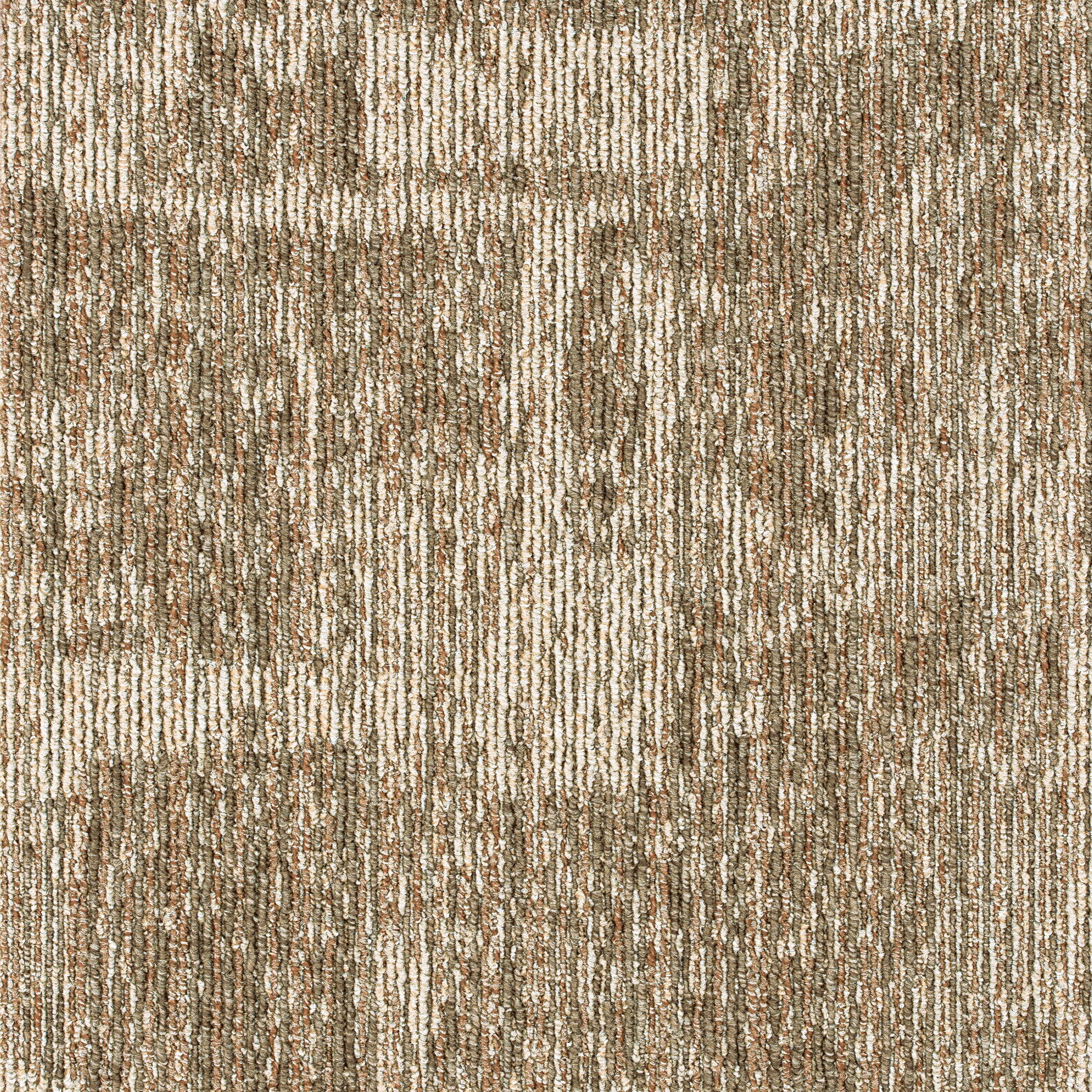 lx2605_sk_3.jpg?v=1696496049&