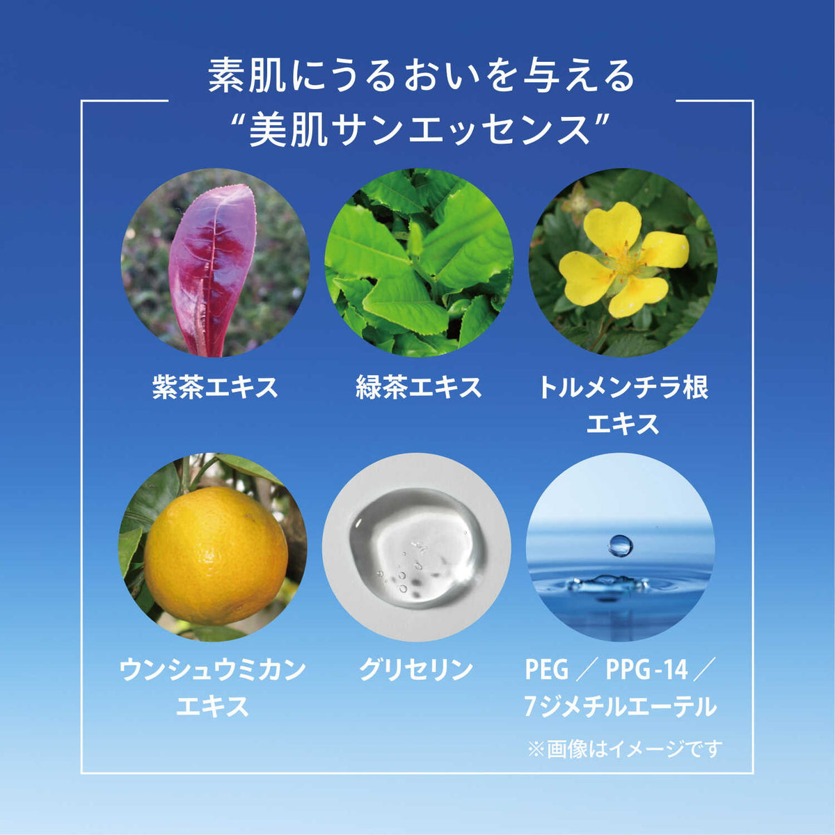 4909978147105_9_1200x.jpg?v=