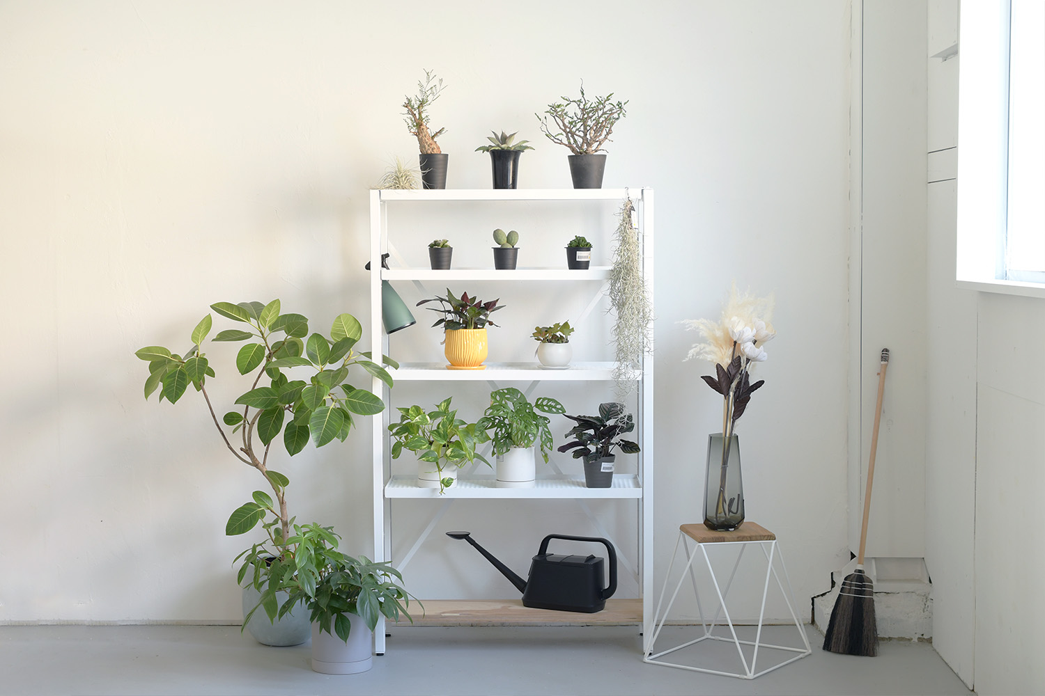 組立式でオプション多数の植物用棚「ボタニカルラック」販売開始