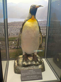 長崎ペンギン水族館