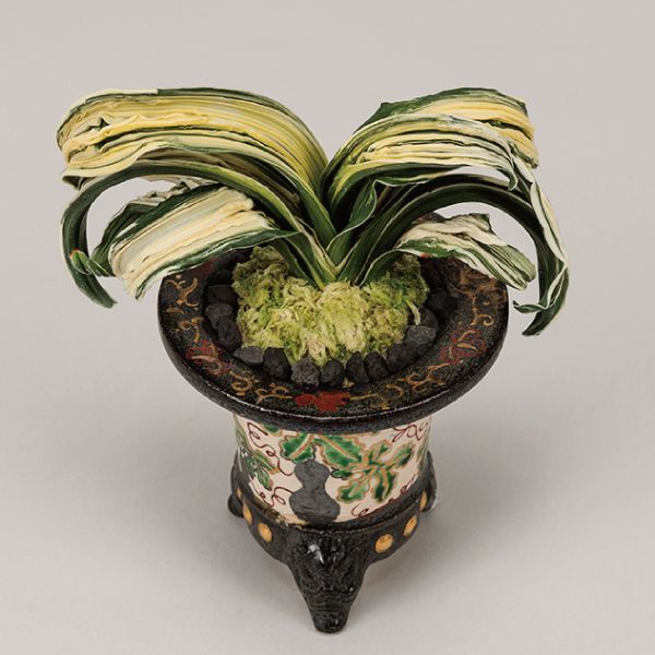 万年青 見聞録 - 春光園 【公式ホームページ】